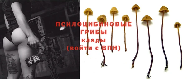 герыч Аркадак