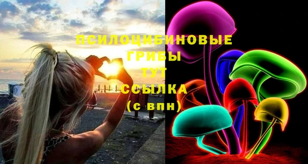 метадон Арсеньев