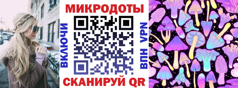 darknet наркотические препараты  Белокуриха  Псилоцибиновые грибы Cubensis 